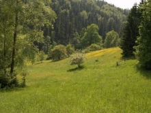 Ziemia obiecana przez PSL
