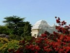 Edynburski ogród botaniczny