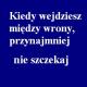 Ziggy *