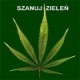 vene