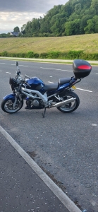Suzuki SV 1000
